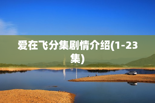 爱在飞分集剧情介绍(1-23集) 爱在飞分集剧情介绍(1-23集)