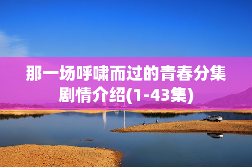 那一场呼啸而过的青春分集剧情介绍(1-43集)