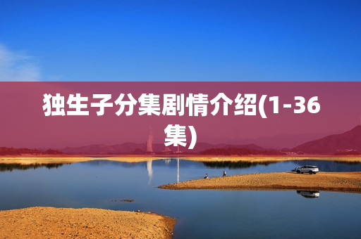 独生子分集剧情介绍(1-36集)