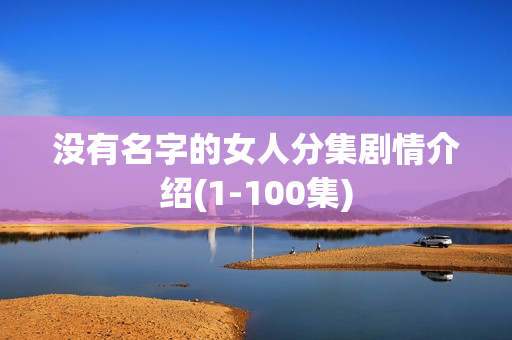没有名字的女人分集剧情介绍(1-100集)