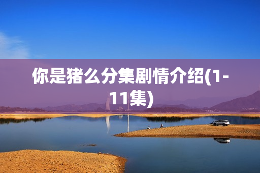 你是猪么分集剧情介绍(1-11集)