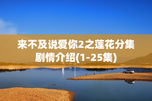 来不及说爱你2之莲花分集剧情介绍(1-25集)