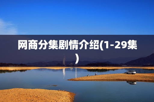 网商分集剧情介绍(1-29集)