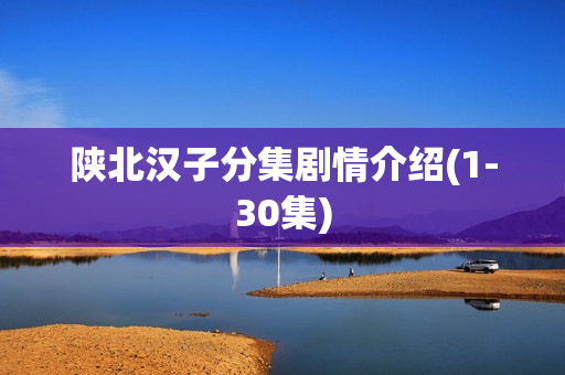 陕北汉子分集剧情介绍(1-30集) 陕北汉子分集剧情介绍(1-30集)