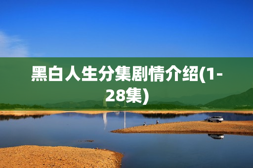 黑白人生分集剧情介绍(1-28集)