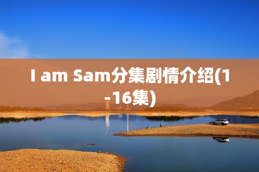 I am Sam分集剧情介绍(1-16集)