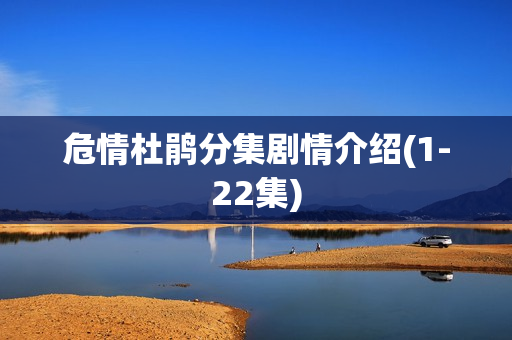 危情杜鹃分集剧情介绍(1-22集)