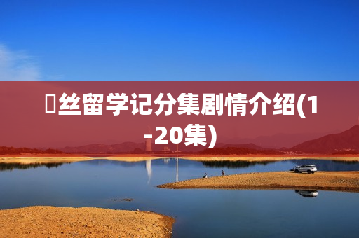 屌丝留学记分集剧情介绍(1-20集)