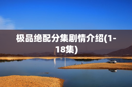 极品绝配分集剧情介绍(1-18集)