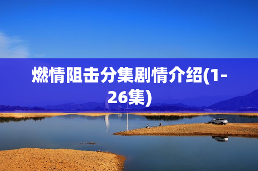 燃情阻击分集剧情介绍(1-26集)