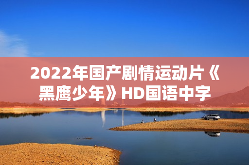 2022年国产剧情运动片《黑鹰少年》HD国语中字 2022年国产剧情运动片《黑鹰少年》HD国语中字