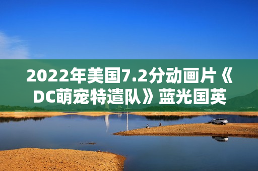 2022年美国7.2分动画片《DC萌宠特遣队》蓝光国英双语双字