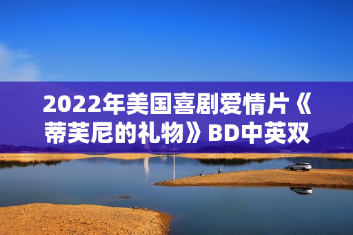 2022年美国喜剧爱情片《蒂芙尼的礼物》BD中英双字 2022年美国喜剧爱情片《蒂芙尼的礼物》BD中英双字