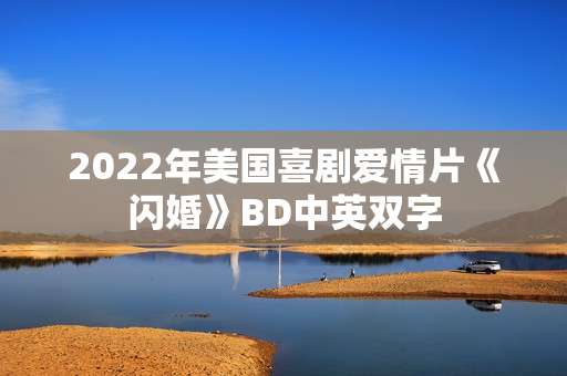 2022年美国喜剧爱情片《闪婚》BD中英双字