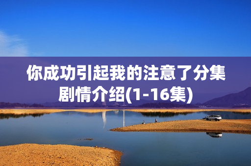 你成功引起我的注意了分集剧情介绍(1-16集) 你成功引起我的注意了分集剧情介绍(1-16集)