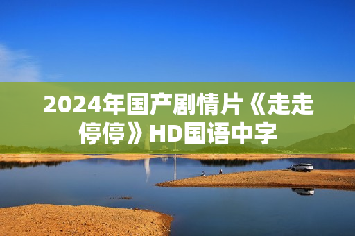 2024年国产剧情片《走走停停》HD国语中字