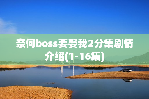 奈何boss要娶我2分集剧情介绍(1-16集) 奈何boss要娶我2分集剧情介绍(1-16集)