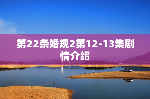 第22条婚规2第12-13集剧情介绍 第22条婚规2第12-13集剧情介绍