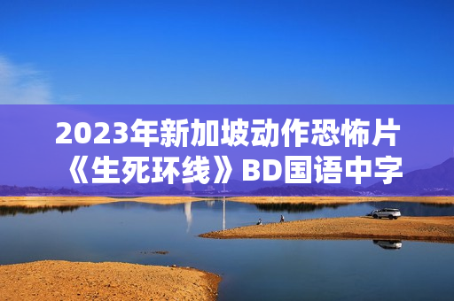 2023年新加坡动作恐怖片《生死环线》BD国语中字