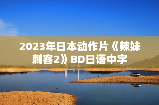 2023年日本动作片《辣妹刺客2》BD日语中字 2023年日本动作片《辣妹刺客2》BD日语中字