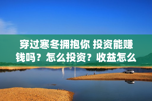 穿过寒冬拥抱你 投资能赚钱吗？怎么投资？收益怎么样？(穿过寒冬拥抱你哪年拍的)