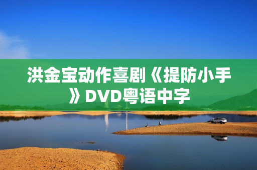 洪金宝动作喜剧《提防小手》DVD粤语中字