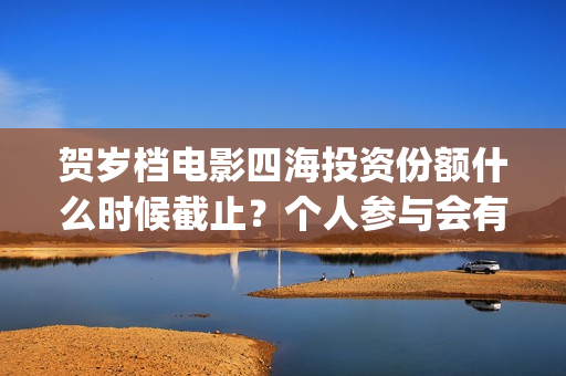 贺岁档电影四海投资份额什么时候截止？个人参与会有分红保障吗？(电影四海海报)