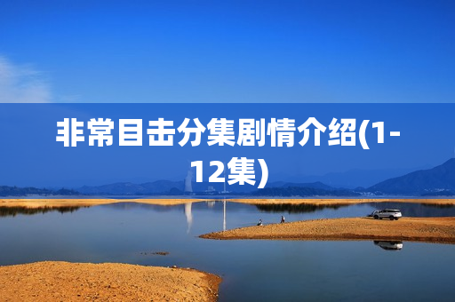 非常目击分集剧情介绍(1-12集)