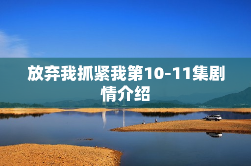 放弃我抓紧我第10-11集剧情介绍 放弃我抓紧我第10-11集剧情介绍