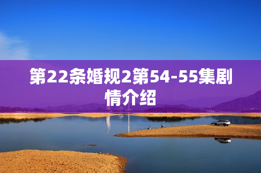 第22条婚规2第54-55集剧情介绍