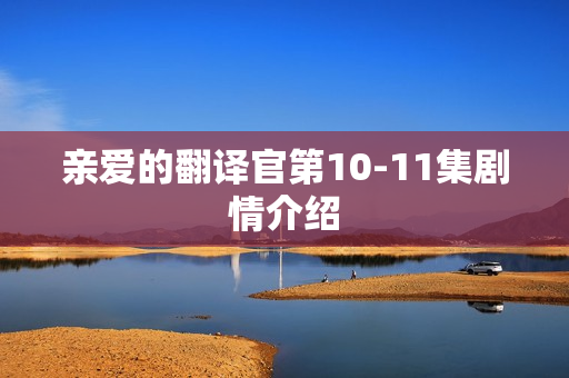 亲爱的翻译官第10-11集剧情介绍