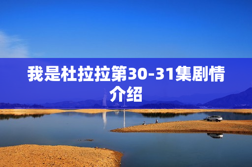 我是杜拉拉第30-31集剧情介绍