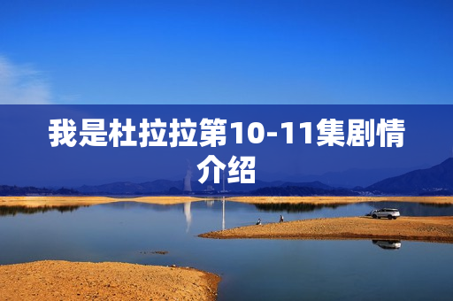 我是杜拉拉第10-11集剧情介绍