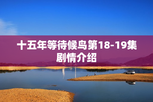 十五年等待候鸟第18-19集剧情介绍