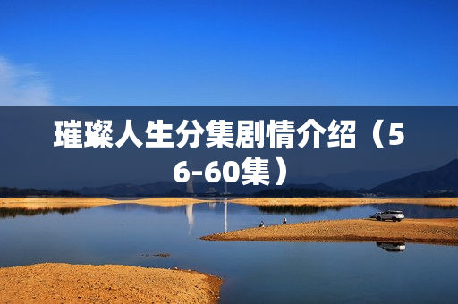 璀璨人生分集剧情介绍（56-60集）