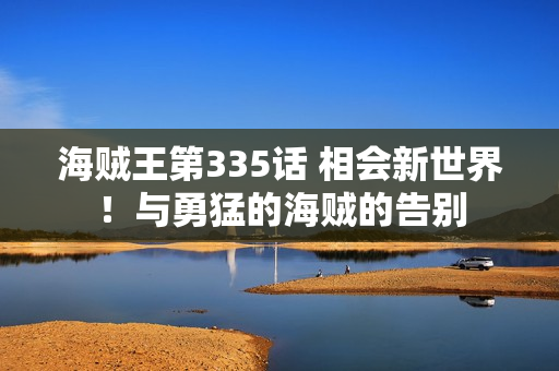 海贼王第335话 相会新世界！与勇猛的海贼的告别