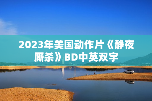 2023年美国动作片《静夜厮杀》BD中英双字
