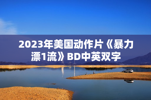 2023年美国动作片《暴力漂1流》BD中英双字