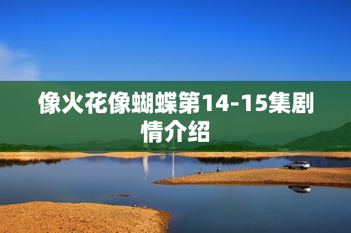 像火花像蝴蝶第14-15集剧情介绍