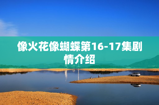 像火花像蝴蝶第16-17集剧情介绍