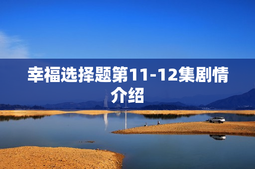 幸福选择题第11-12集剧情介绍