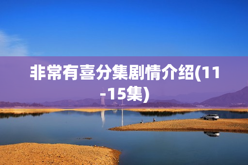 非常有喜分集剧情介绍(11-15集)