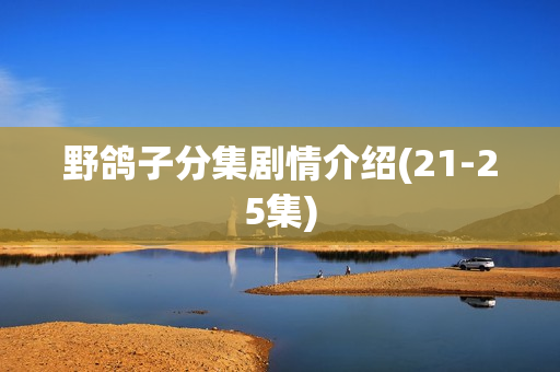 野鸽子分集剧情介绍(21-25集)