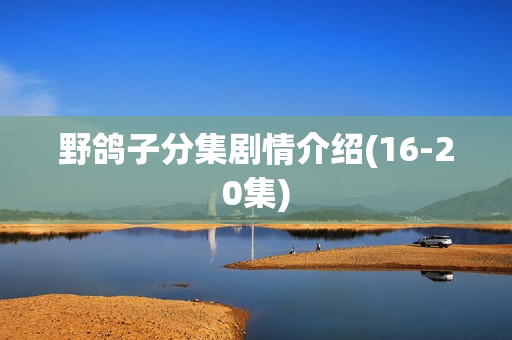 野鸽子分集剧情介绍(16-20集)