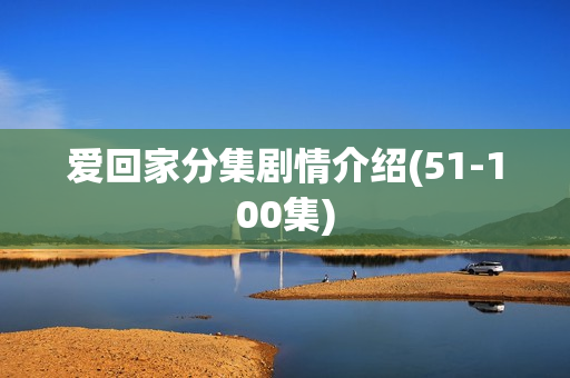 爱回家分集剧情介绍(51-100集)