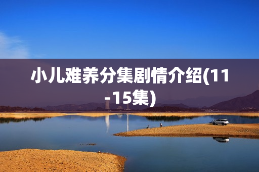 小儿难养分集剧情介绍(11-15集)
