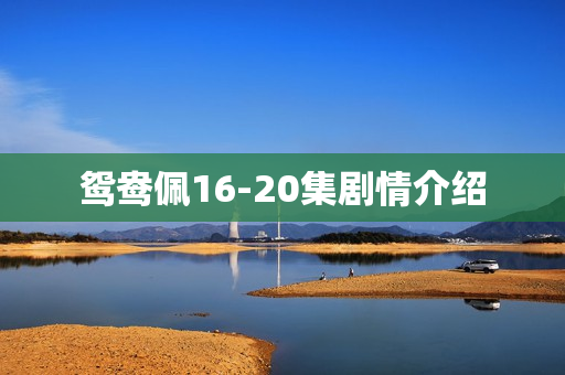 鸳鸯佩16-20集剧情介绍