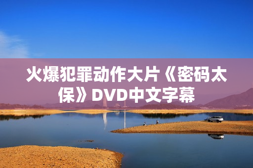 火爆犯罪动作大片《密码太保》DVD中文字幕