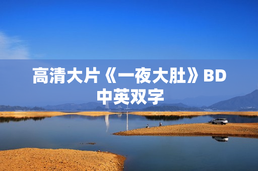 高清大片《一夜大肚》BD中英双字