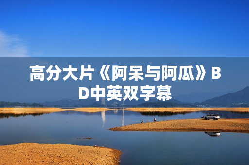 高分大片《阿呆与阿瓜》BD中英双字幕